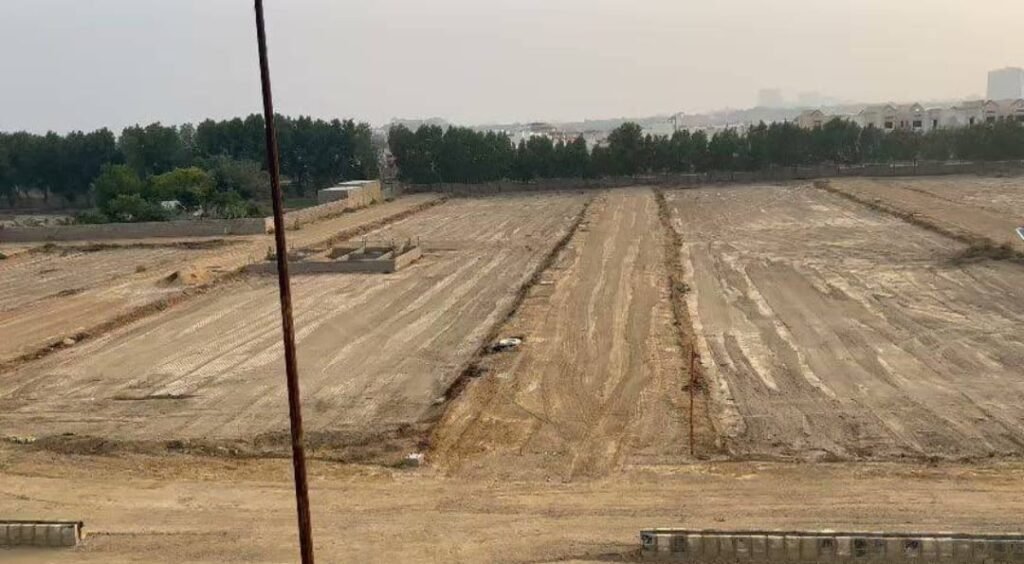 WhatsApp Image 2025-09-10 at 07.51.17_29a76930